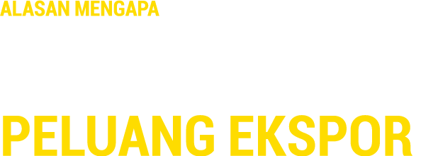 Alasan Mengapa UMKM Harus Mulai Mengambil Peluang Ekspor