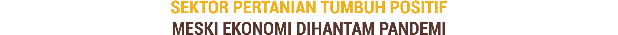 Sektor Pertanian Tumbuh Positif Meski Ekonomi Dihantam Pandemi