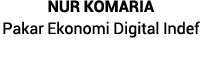 Nur Komaria Pakar Ekonomi Digital Indef