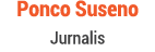 Ponco Suseno Jurnalis
