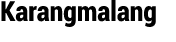Karangmalang