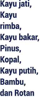 Kayu jati, Kayu rimba, Kayu bakar, Pinus, Kopal, Kayu putih, Bambu, dan Rotan