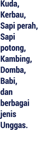 Kuda, Kerbau, Sapi perah, Sapi potong, Kambing, Domba, Babi, dan berbagai jenis Unggas.