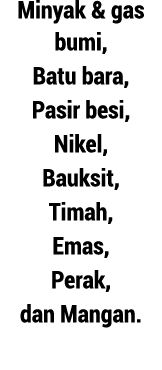 Minyak & gas bumi, Batu bara, Pasir besi, Nikel, Bauksit, Timah, Emas, Perak, dan Mangan.