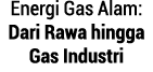 Energi Gas Alam: Dari Rawa hingga Gas Industri