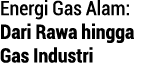 Energi Gas Alam: Dari Rawa hingga Gas Industri