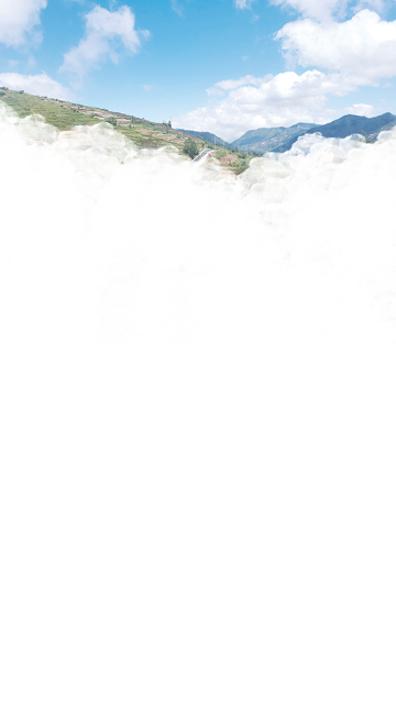 DCIM 104MEDIA DJI_2663 JPG