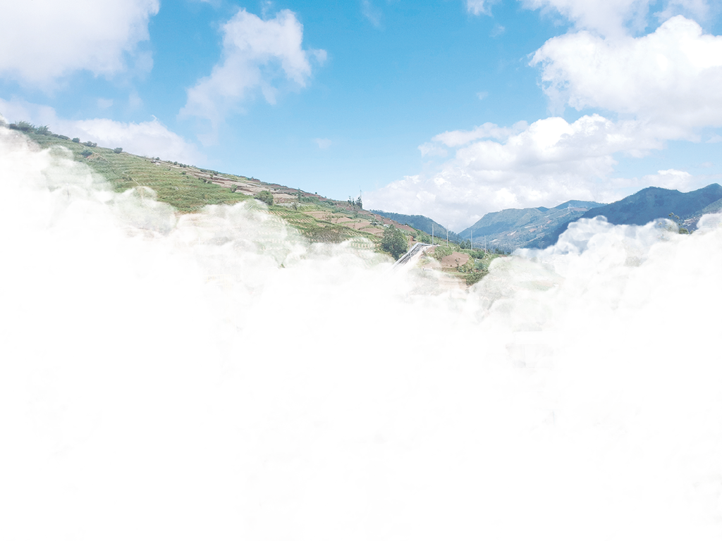 DCIM 104MEDIA DJI_2663 JPG