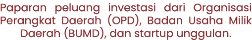 Paparan peluang investasi dari Organisasi Perangkat Daerah (OPD), Badan Usaha Milik Daerah (BUMD), dan startup unggulan.
