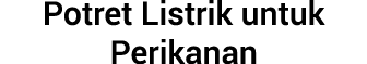Potret Listrik untuk Perikanan