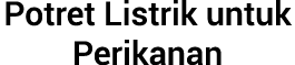 Potret Listrik untuk Perikanan