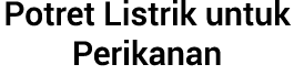 Potret Listrik untuk Perikanan