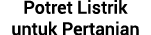 Potret Listrik untuk Pertanian