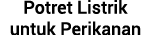 Potret Listrik untuk Perikanan