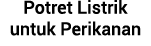 Potret Listrik untuk Perikanan