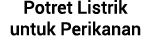Potret Listrik untuk Perikanan
