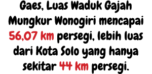 Gaes, Luas Waduk Gajah Mungkur Wonogiri mencapai 56,07 km persegi, lebih luas dari Kota Solo yang hanya sekitar 44 km...