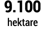 9.100 hektare