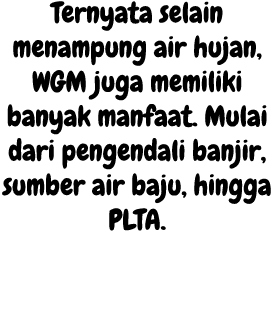 Ternyata selain menampung air hujan, WGM juga memiliki banyak manfaat. Mulai dari pengendali banjir, sumber air baju,...