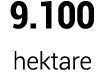9.100 hektare